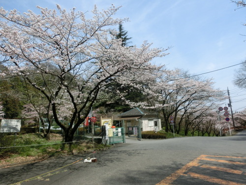 CIMG0598