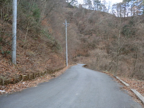 CIMG1698