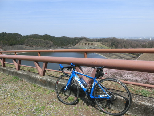 CIMG0593