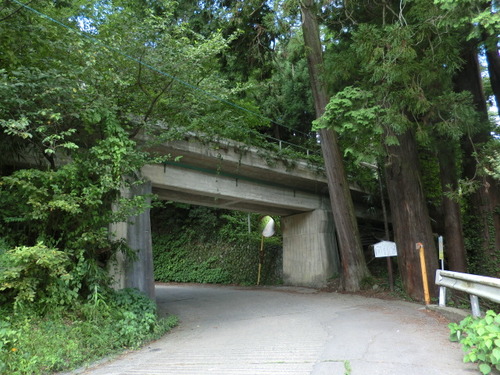 CIMG0659