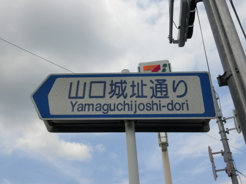CIMG1342
