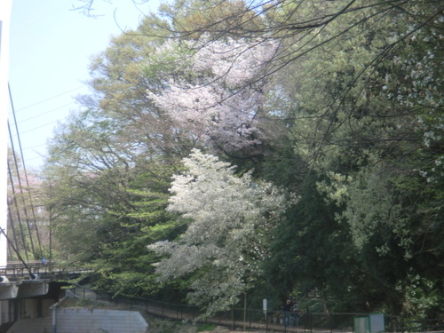 CIMG0826