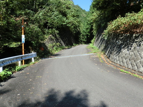 CIMG1334