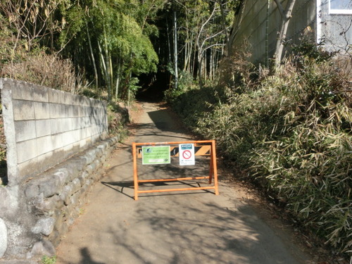 CIMG0258