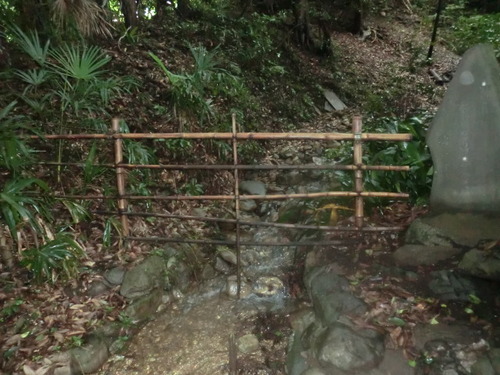 CIMG0658