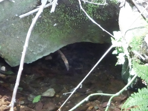 CIMG0672