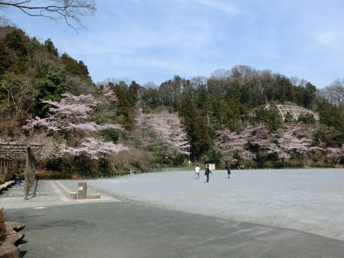 CIMG0596
