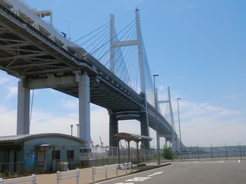 CIMG0451