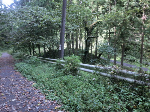 CIMG0097