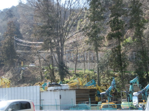 CIMG0242
