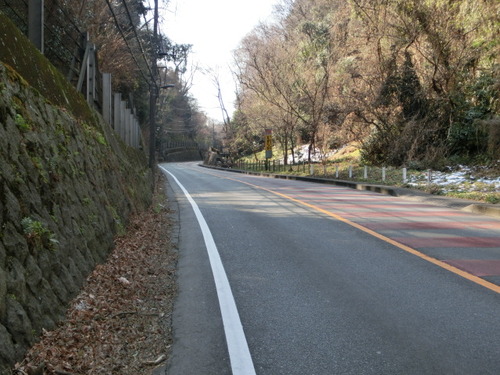 CIMG0245