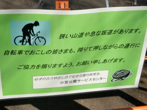 CIMG0259