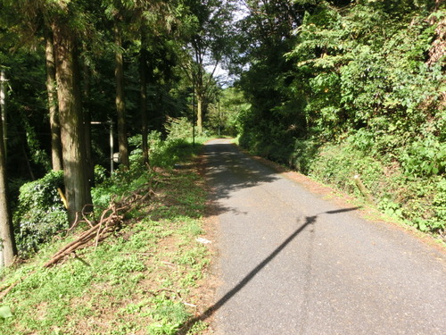 CIMG0080