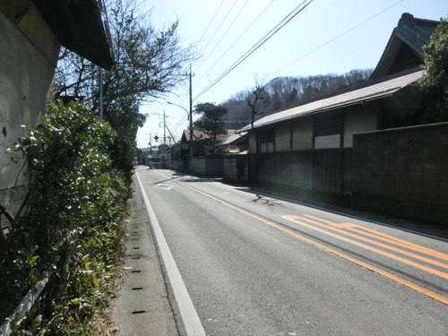 CIMG0239