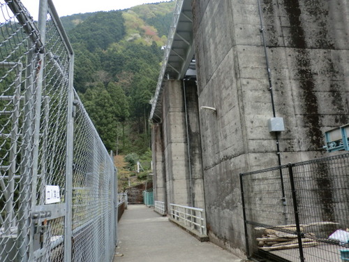 CIMG2565