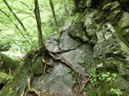CIMG0863