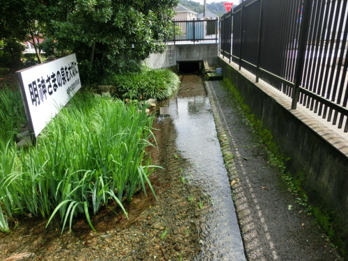 CIMG0017