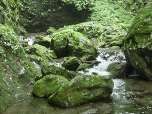 CIMG0858