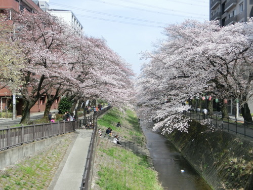 CIMG0603