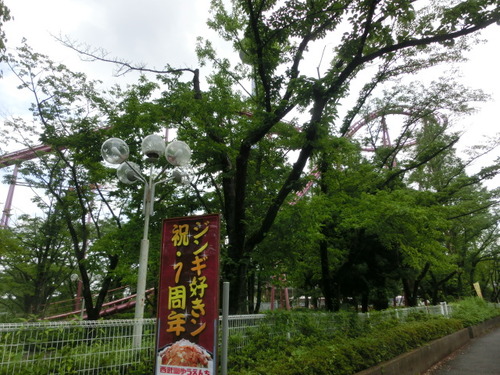 CIMG1346