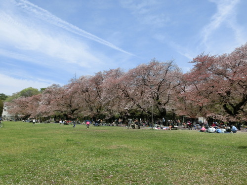 CIMG0699