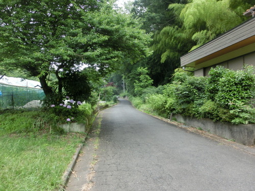 CIMG1258