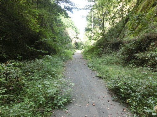 CIMG0092