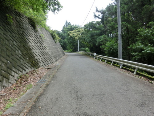 CIMG1264