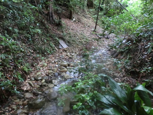 CIMG0662