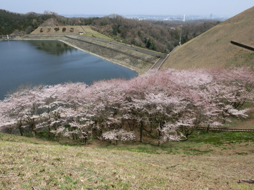 CIMG0594