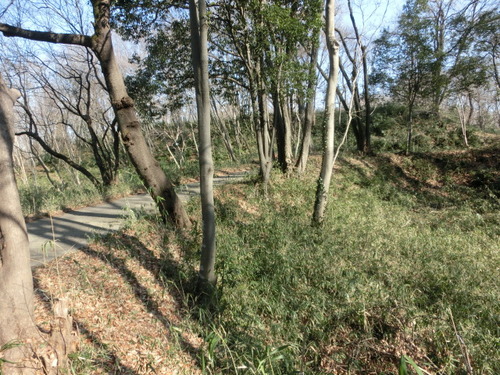 CIMG0269