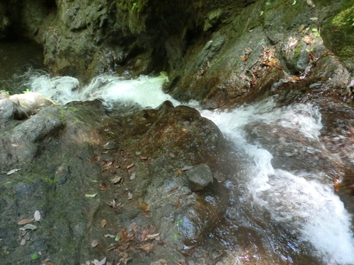 CIMG0835