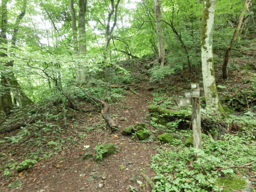 CIMG0876