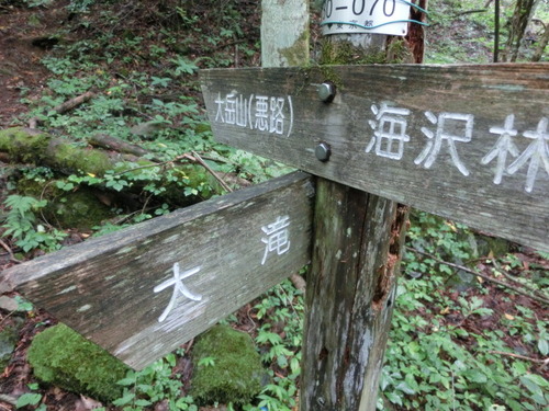 CIMG0877