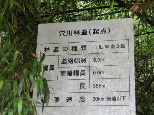 CIMG1260