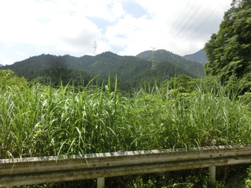 CIMG2229