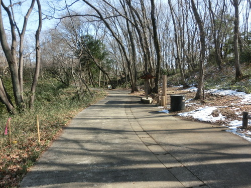 CIMG0266