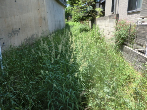 CIMG0443