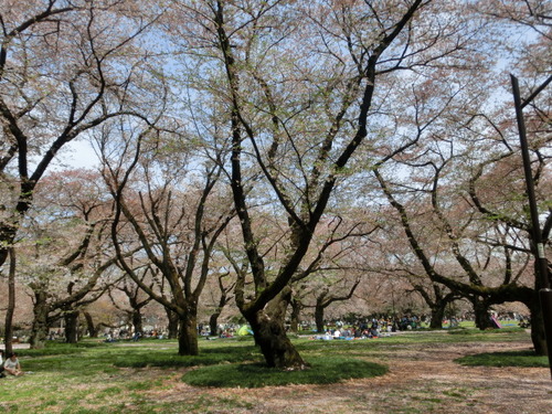 CIMG0698