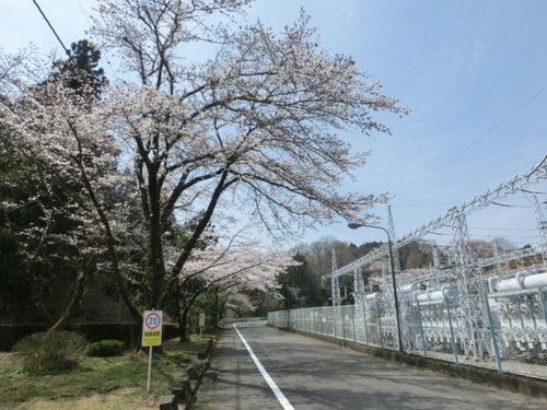 CIMG0585