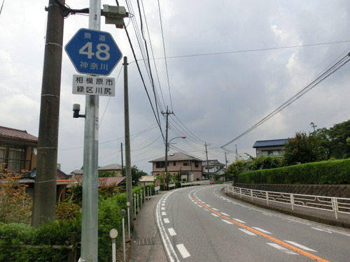 CIMG1239