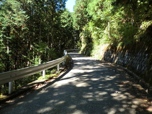 CIMG1504