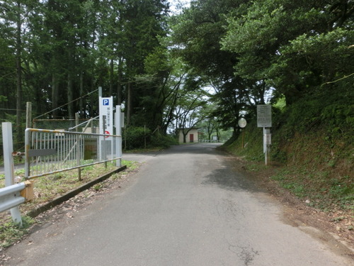 CIMG1271