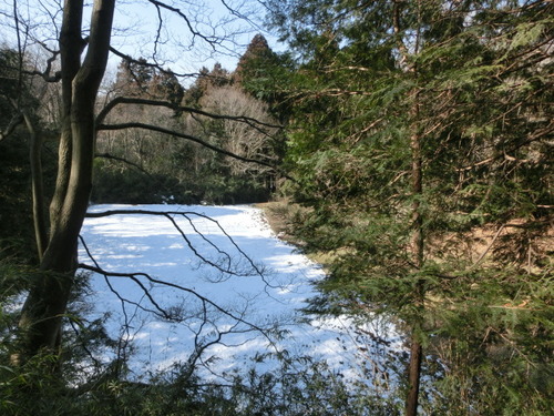 CIMG0283