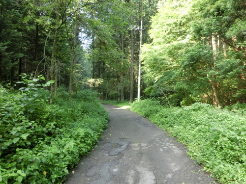 CIMG0370
