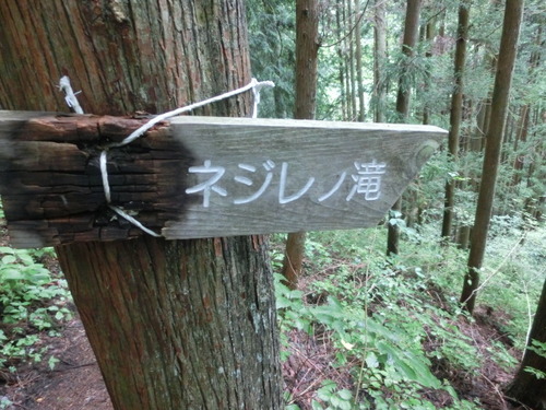 CIMG0856