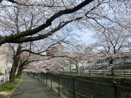 CIMG0602