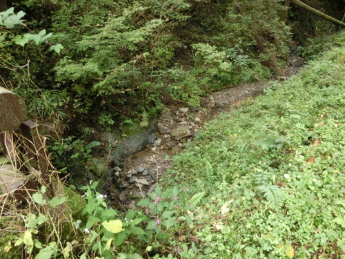 CIMG0101