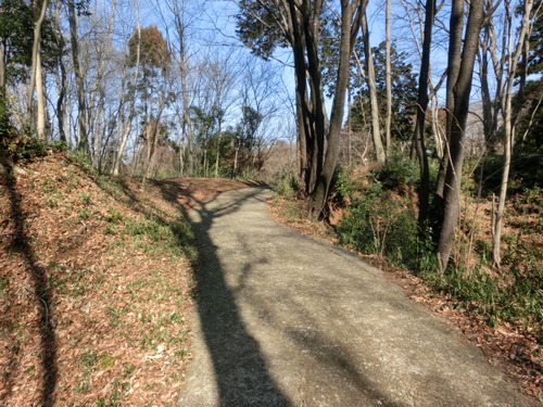 CIMG0274