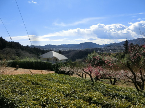 CIMG0382